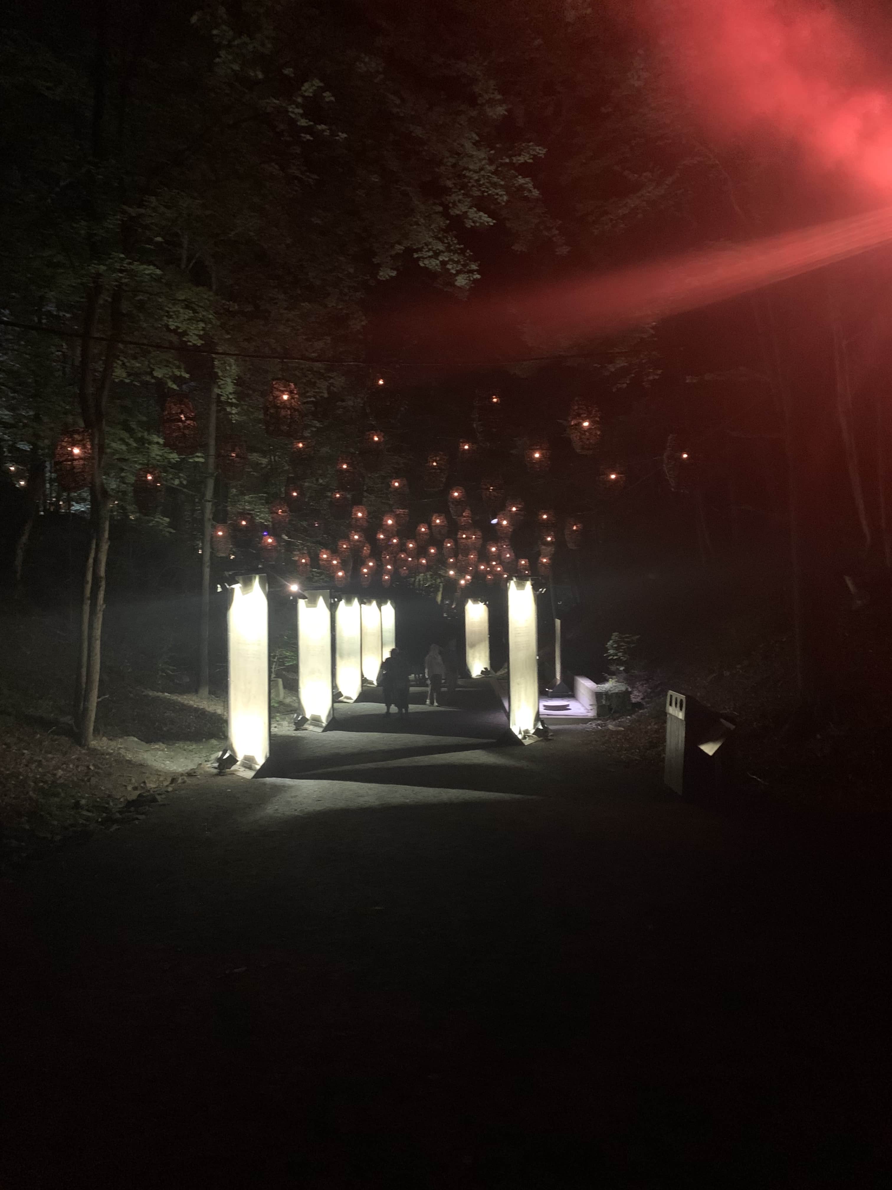 A path in Forest Lumina