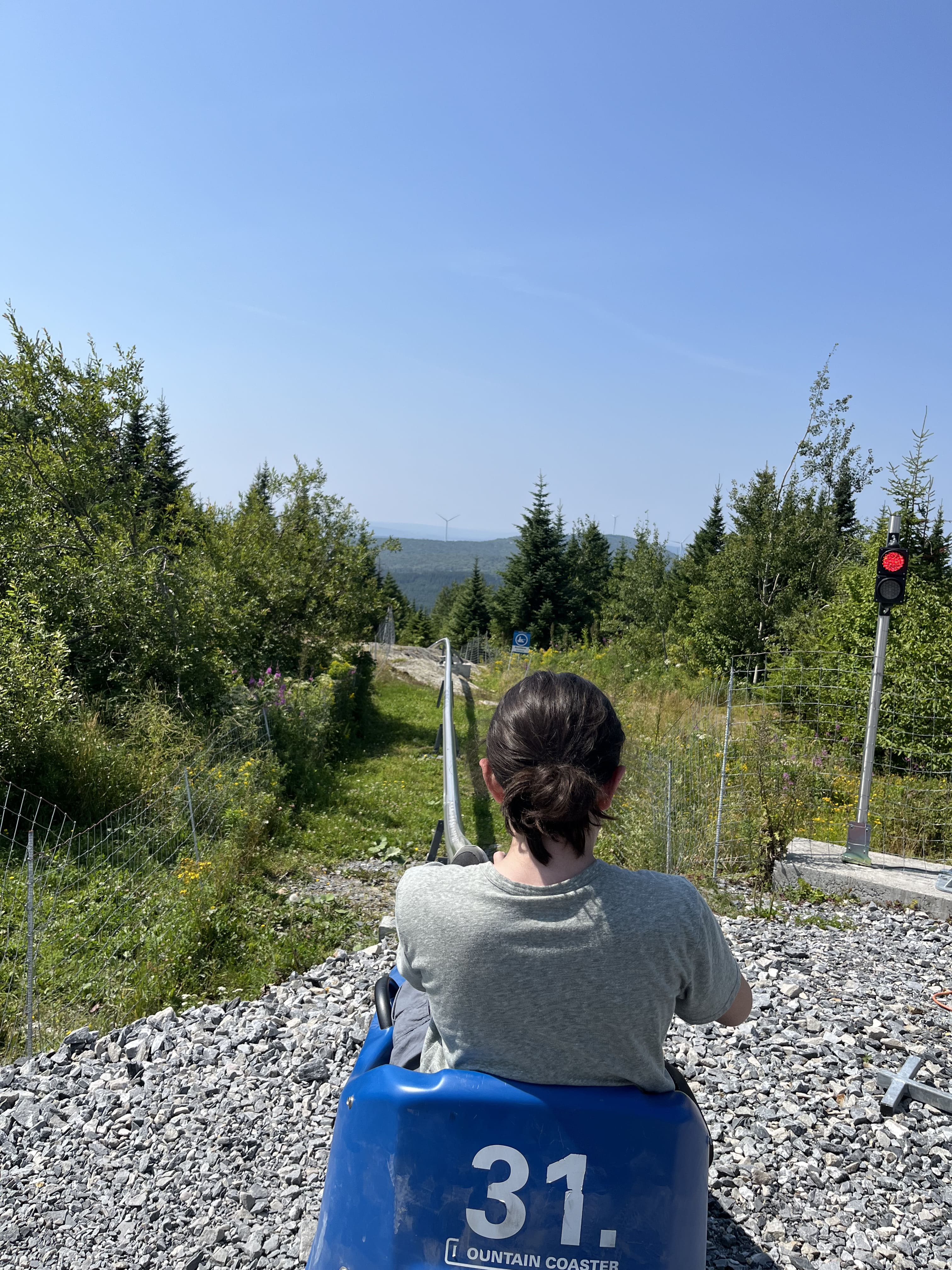 Domaine du Radar's Mountain Coaster