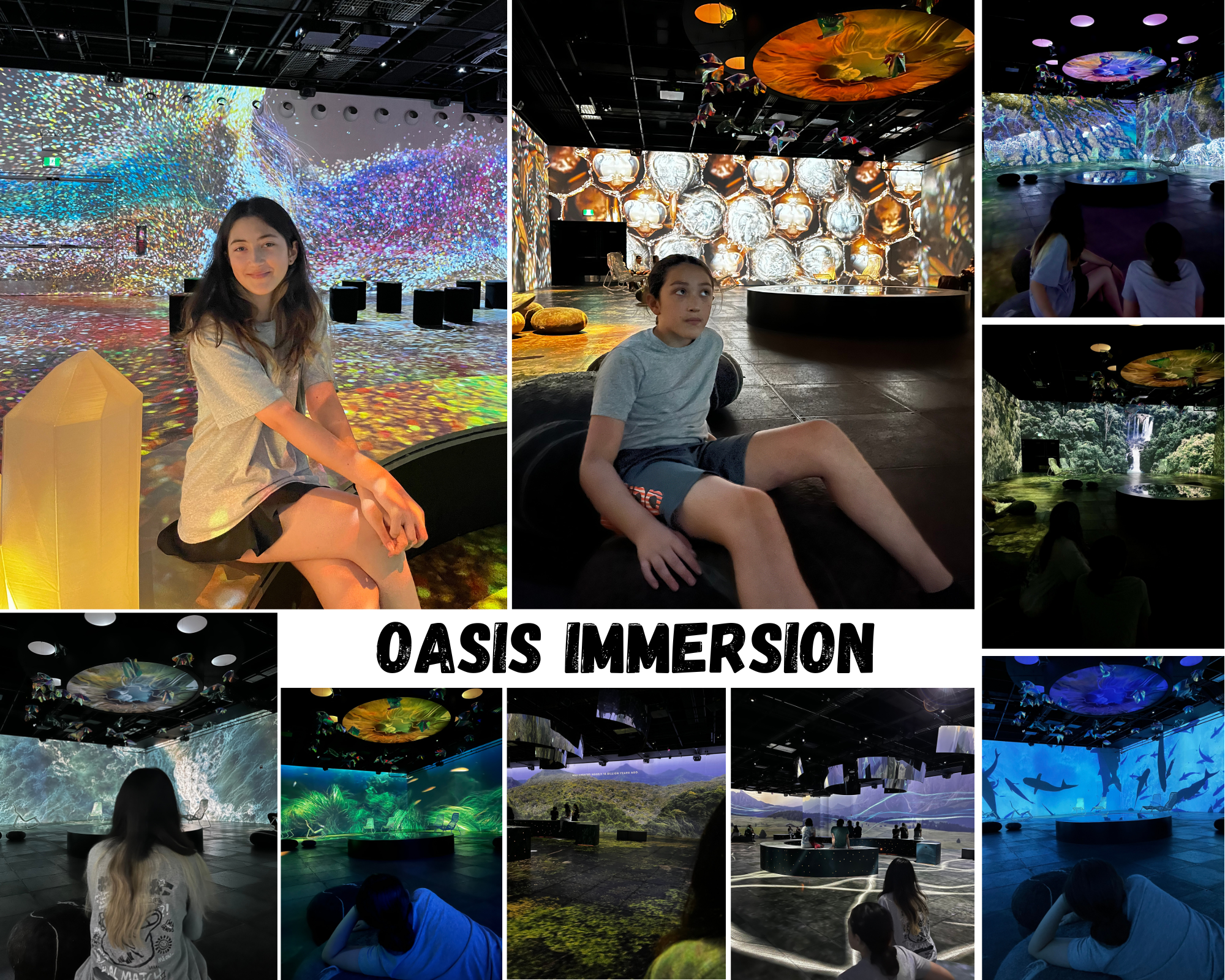 Oasis Immersion