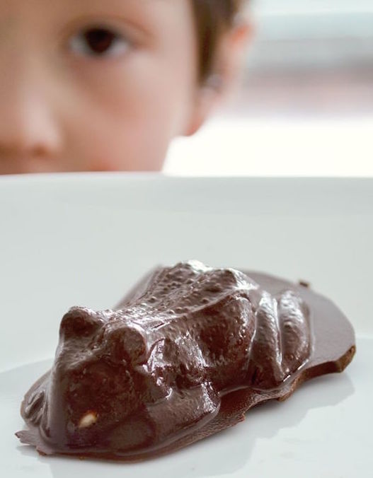 Chocolate Maple Frogs