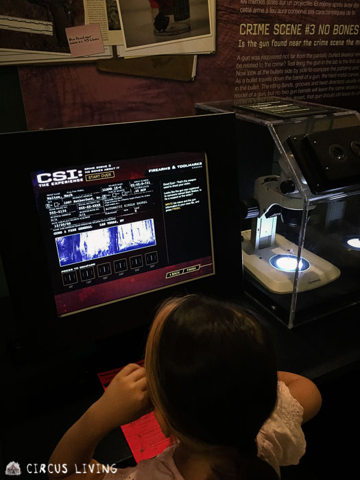 CSI: The Experience Exhibit
