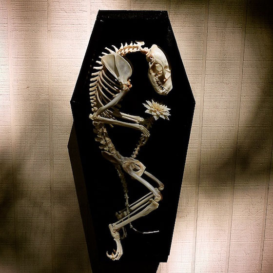 Forgotten Boneyard art