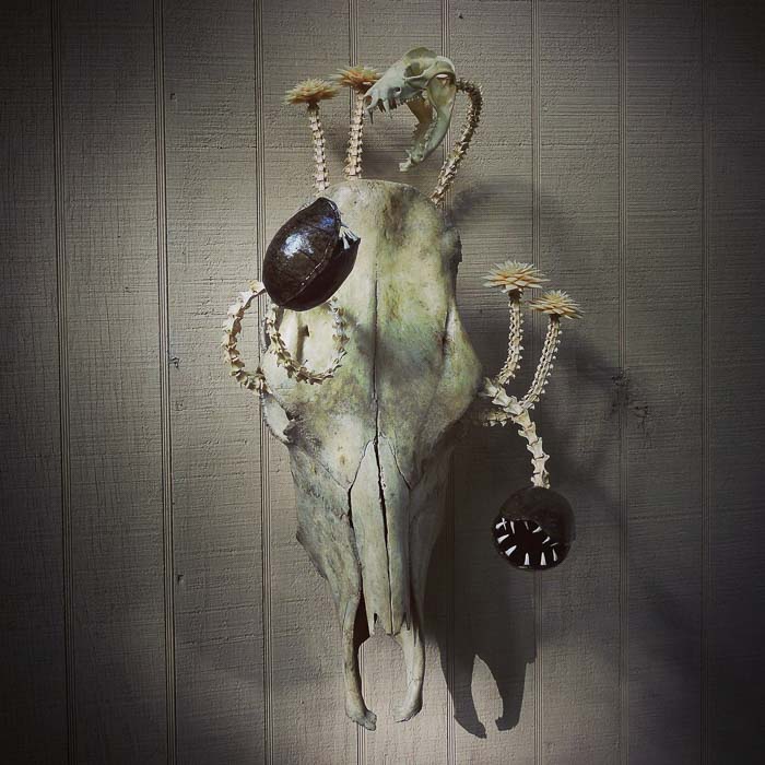 Forgotten Boneyard art
