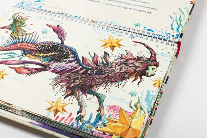 Dragon,Animal,Bird,Text
