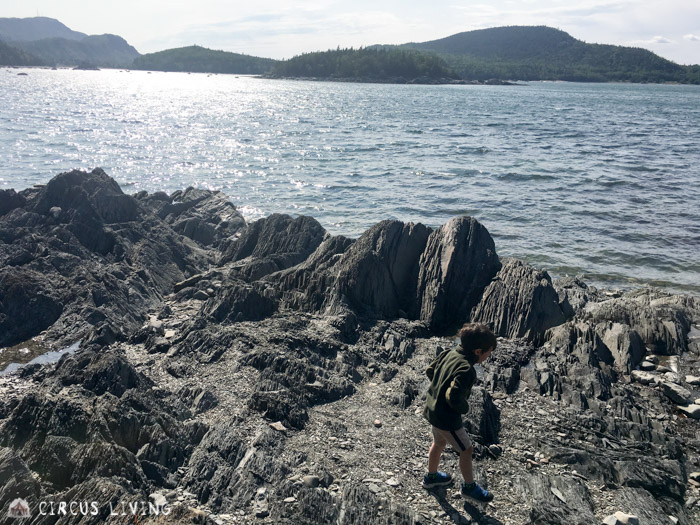 Seamus at Parc National du Bic